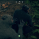 Image for article titled I Am Hooked On Ancestors, A Tough New Survival Game About Human Evolution
